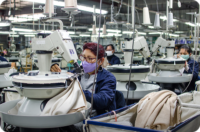 From Fleece to Comfort: Inside Our Alpaca …