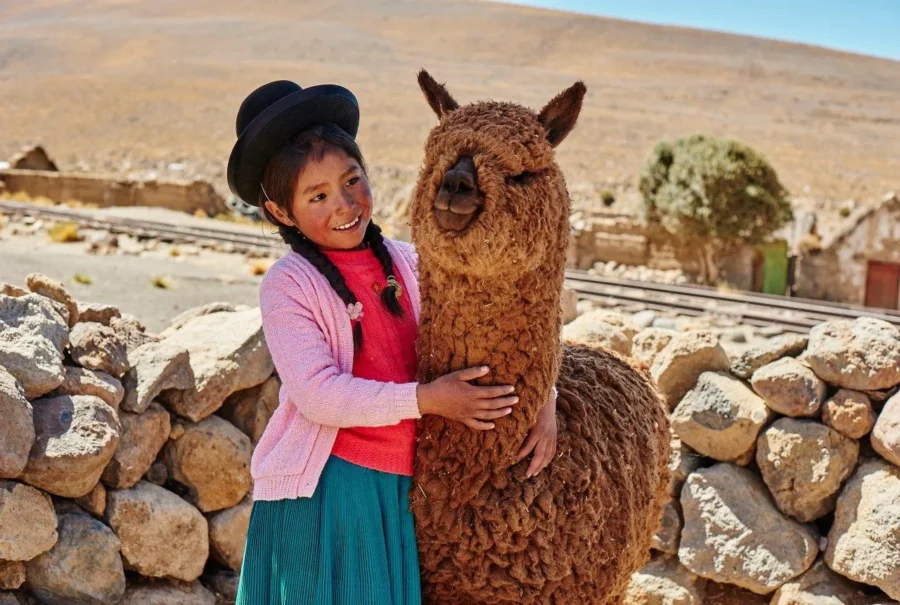 Pacomarca: Where Ethical Alpaca Care Begins